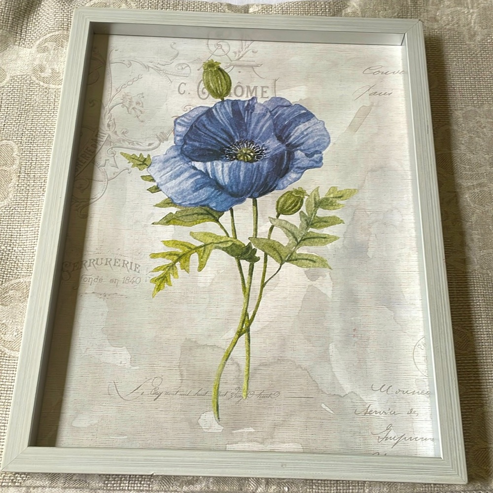 Wall framed print art Carol Robinson Blue Linen Poppy botanical 14.75”x11.75”